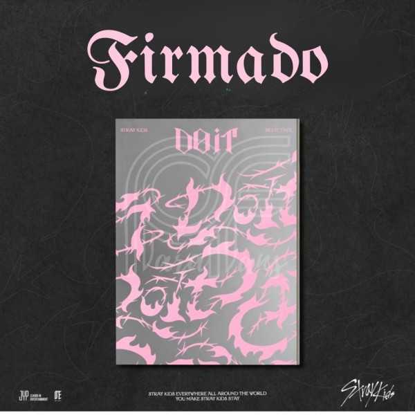 Álbum DO IT de Stray kids - photocard autografiado